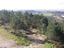 2019-02-09  COMANDOS